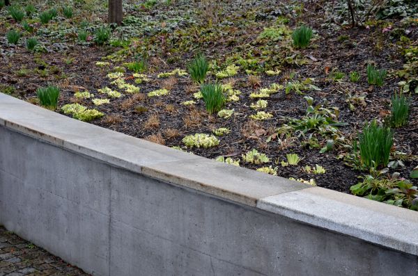 Cost of Concrete Wall Construction in Hopkins