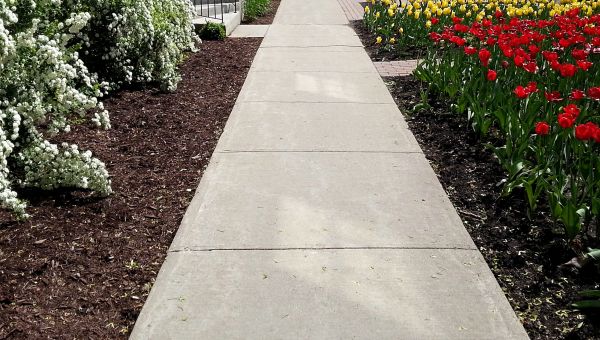 Cost of Sidewalk Slab Replacement in Hopkins
