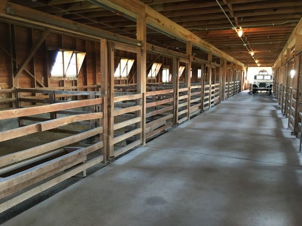 Cost of Barn Floor Pouring in Hopkins