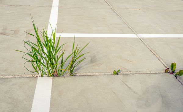 Cost of Concrete Parking Installation in Hopkins