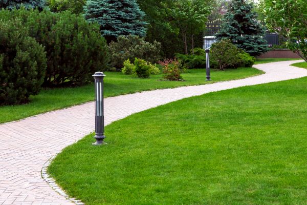 Cost of Backyard Sidewalk Installation in Hopkins
