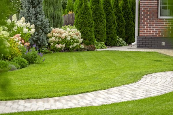 Cost of Landscape Walkway Installation in Hopkins